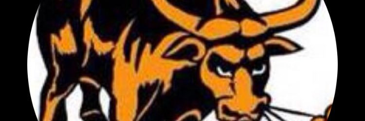 Woburn Football banner
