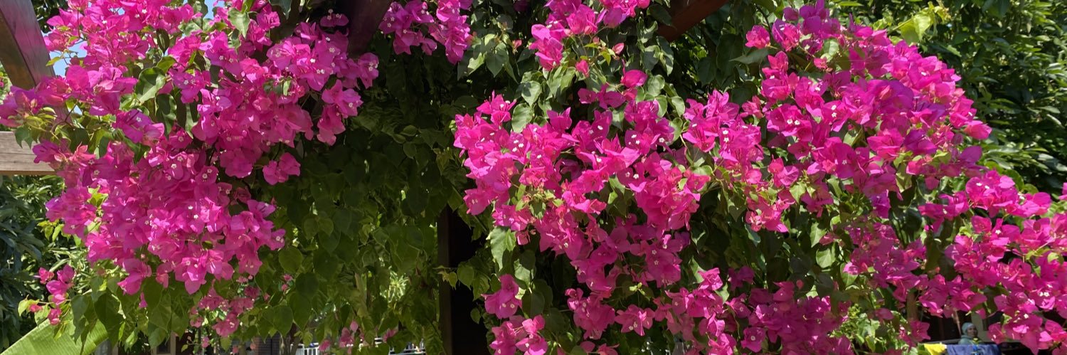 Doğan Kaplan banner