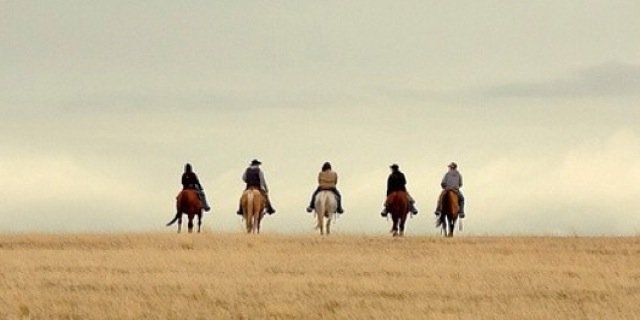 CeliaaaaMG's profile banner image