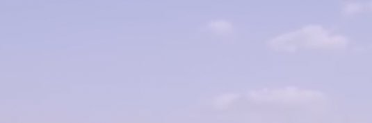 ﾅょ❕ banner