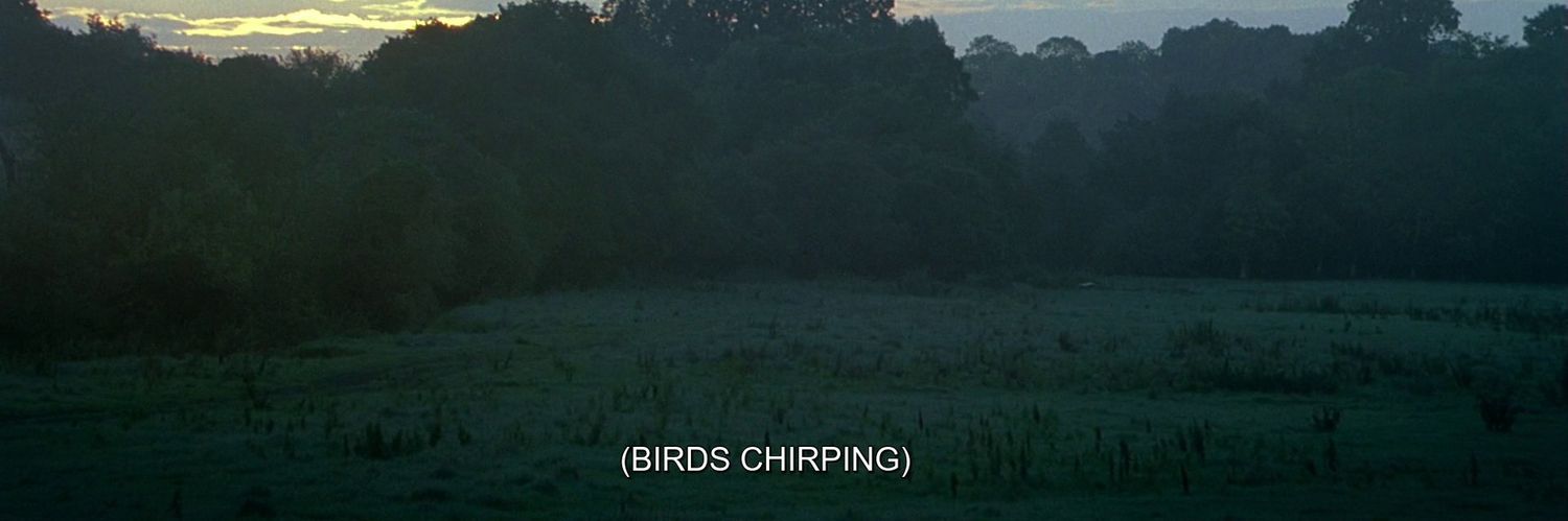 Le.✧˙⊹˚ banner