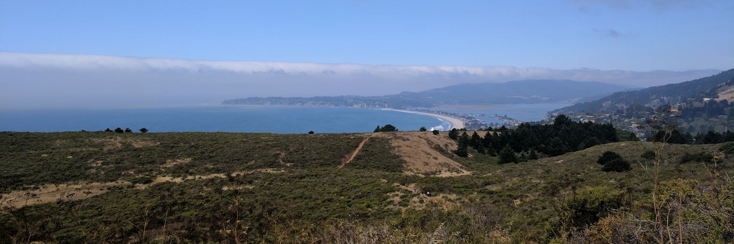 Dr. Dillon Browne banner