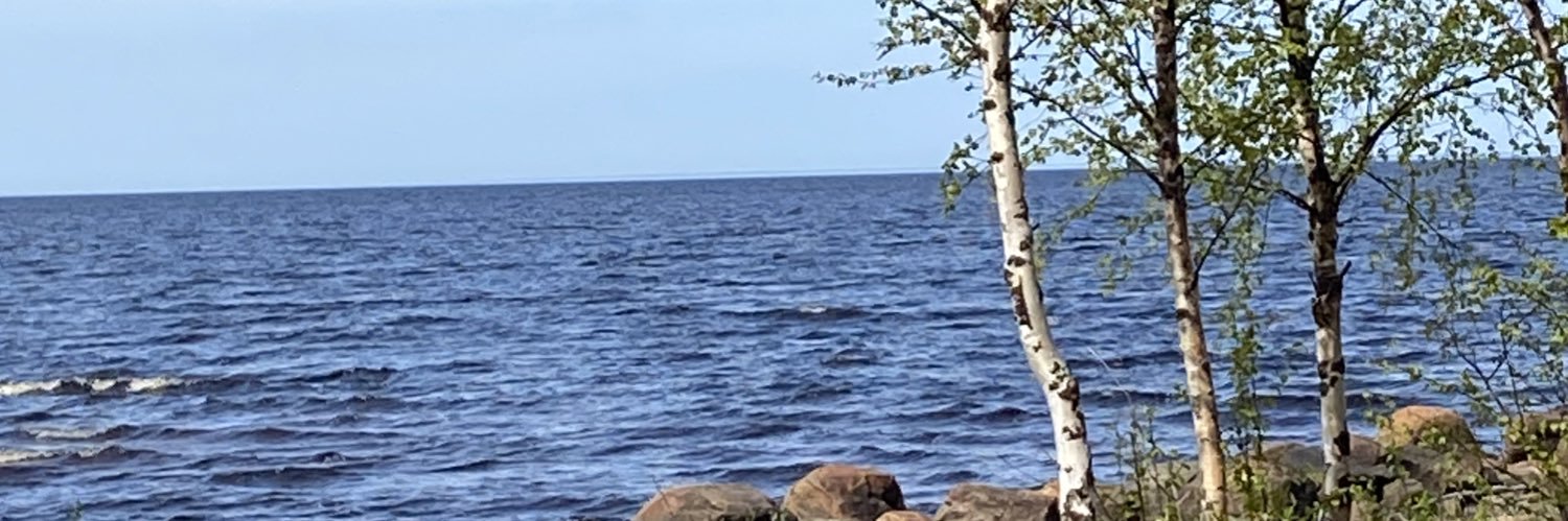 SariValppu's profile banner image