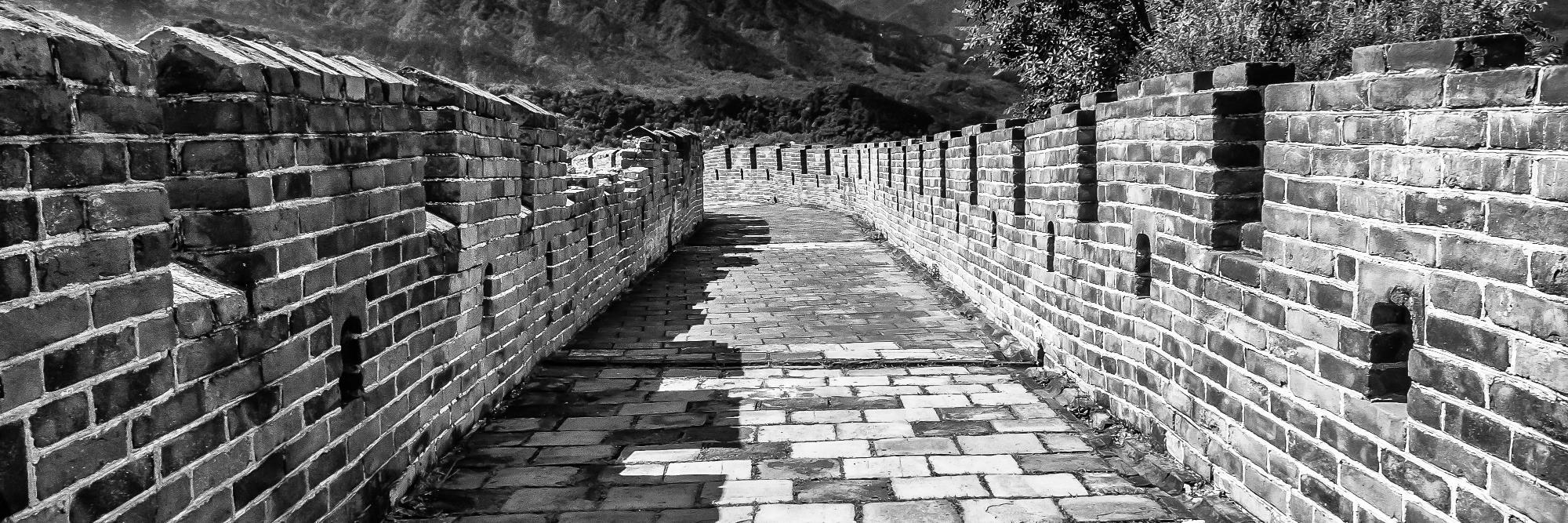 Doug Waggoner banner