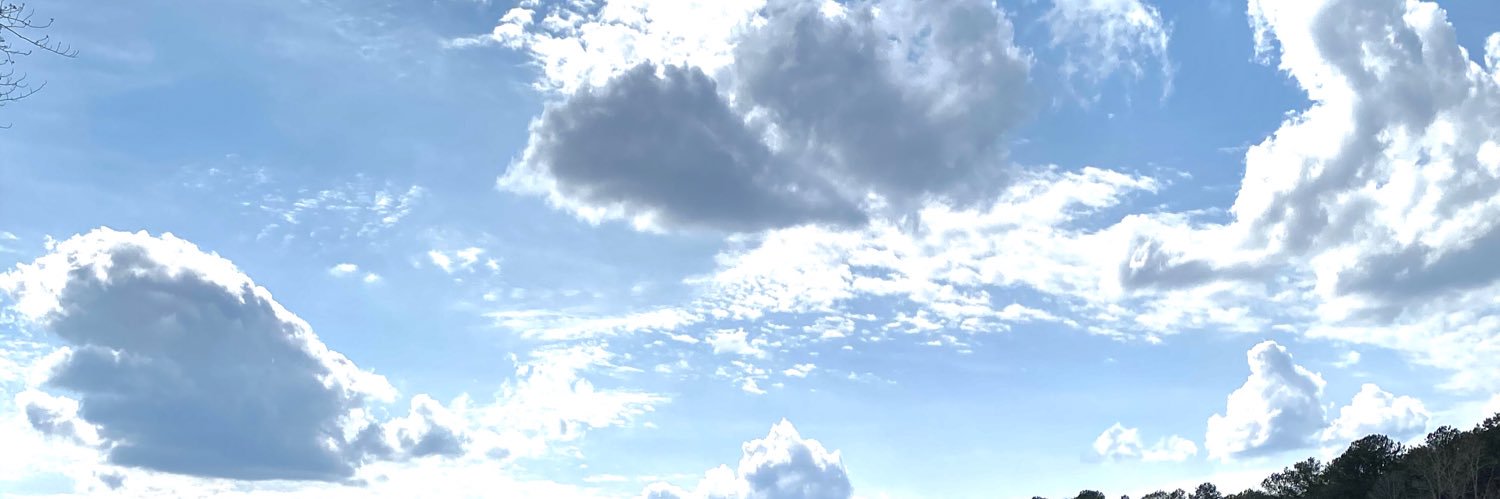Ceejaynix banner