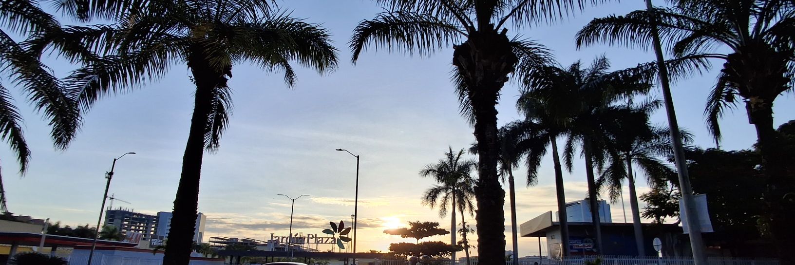 Homendez2's profile banner image