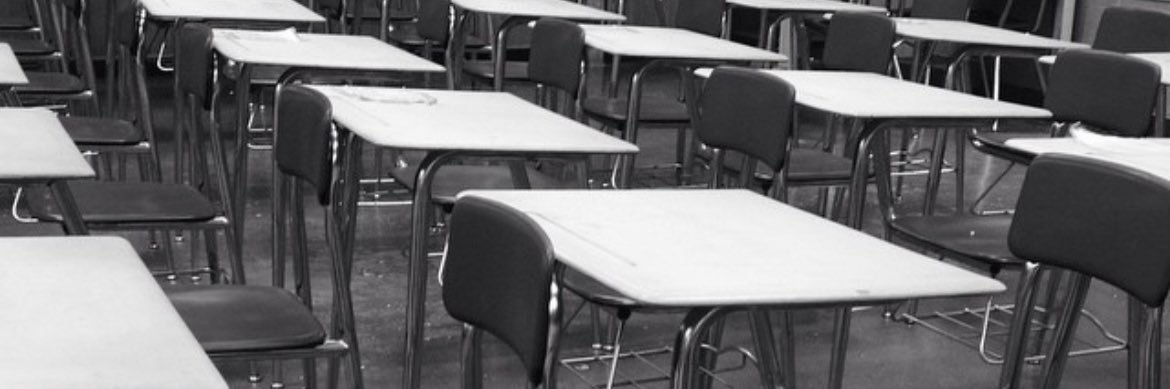 Lauren Vecoli banner