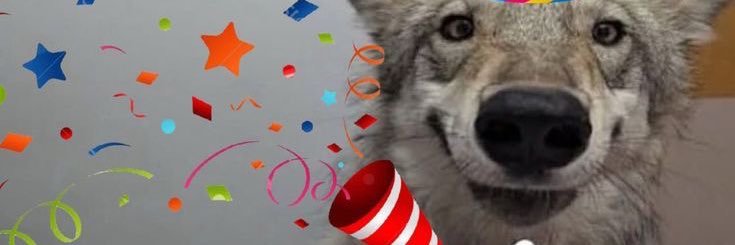 Seagay banner