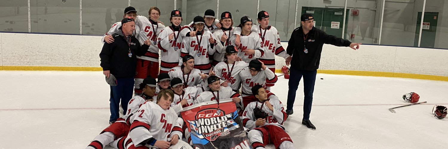 Canes 2006 banner