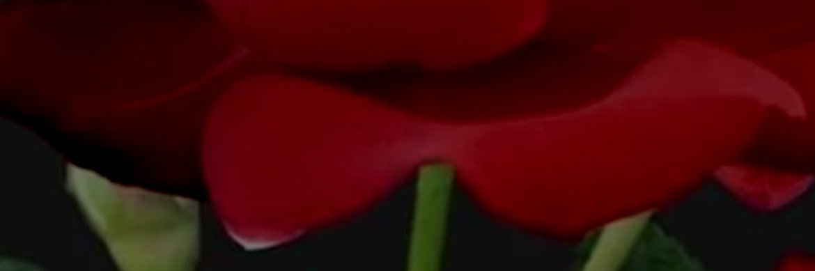 thb_a's profile banner image