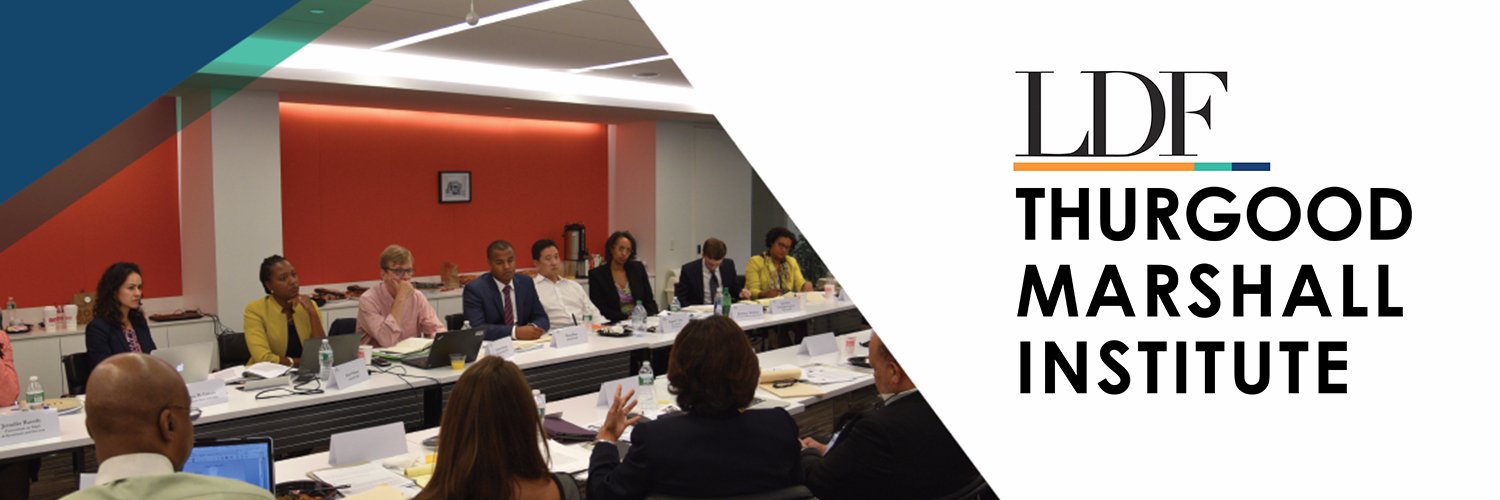 Thurgood Marshall Institute banner