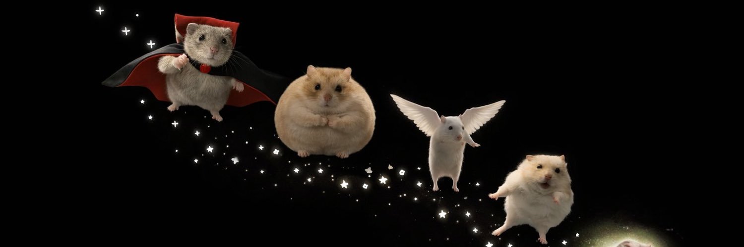 aslishko_'s profile banner image