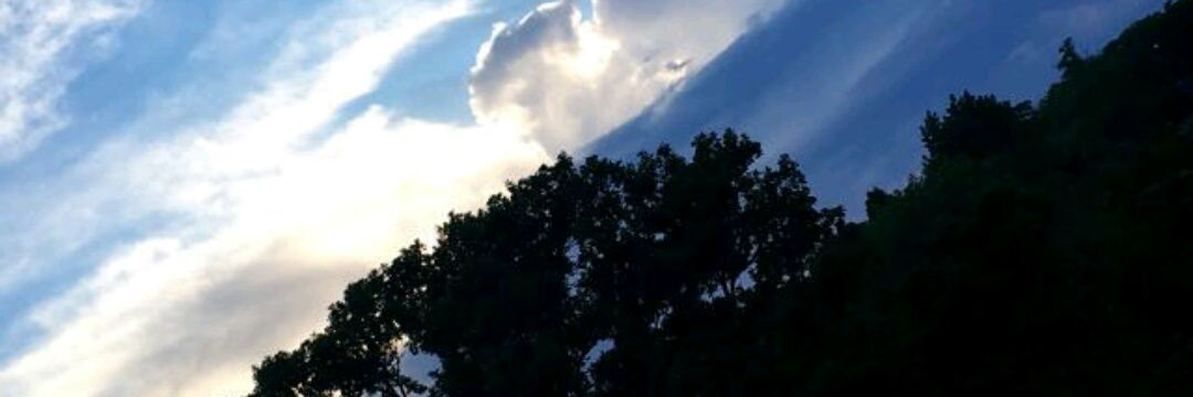 RendonMaddy's profile banner image