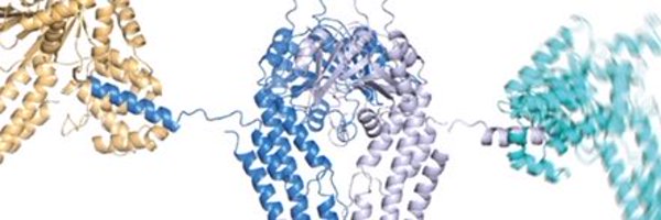 thelowlab Profile Banner