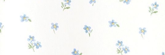CkTasarim's profile banner image