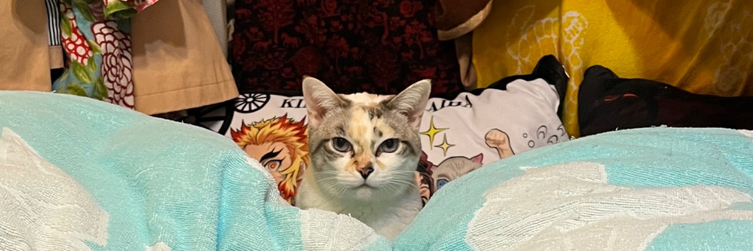 🍤ボタ❤️‍🔥ボタン🍤 banner