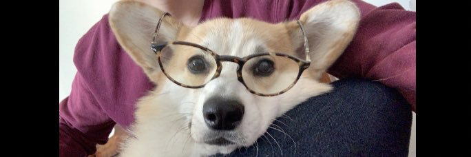 HoMarchand's profile banner image