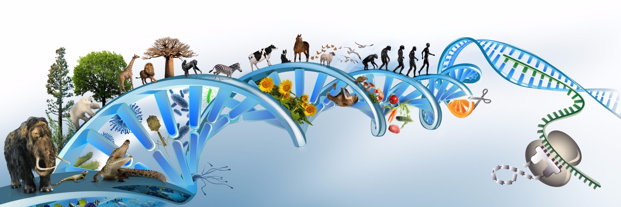 Daicel Arbor Biosciences banner