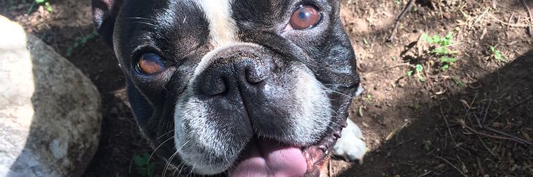 CamilRatto's profile banner image