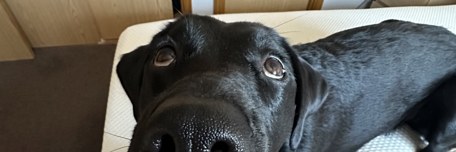 ryanclifton_'s profile banner image