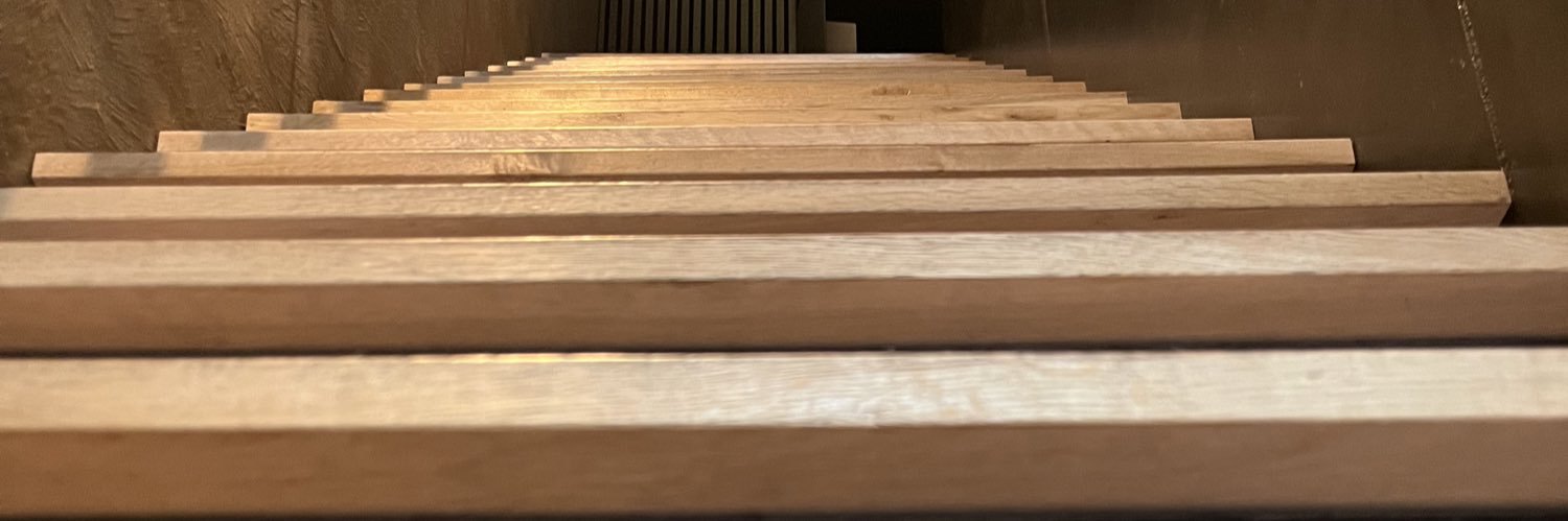 Nieves Malagón banner