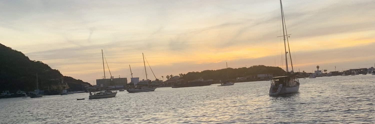 iSusyLu's profile banner image