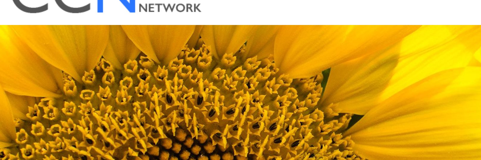 CanChordomaNet's profile banner image