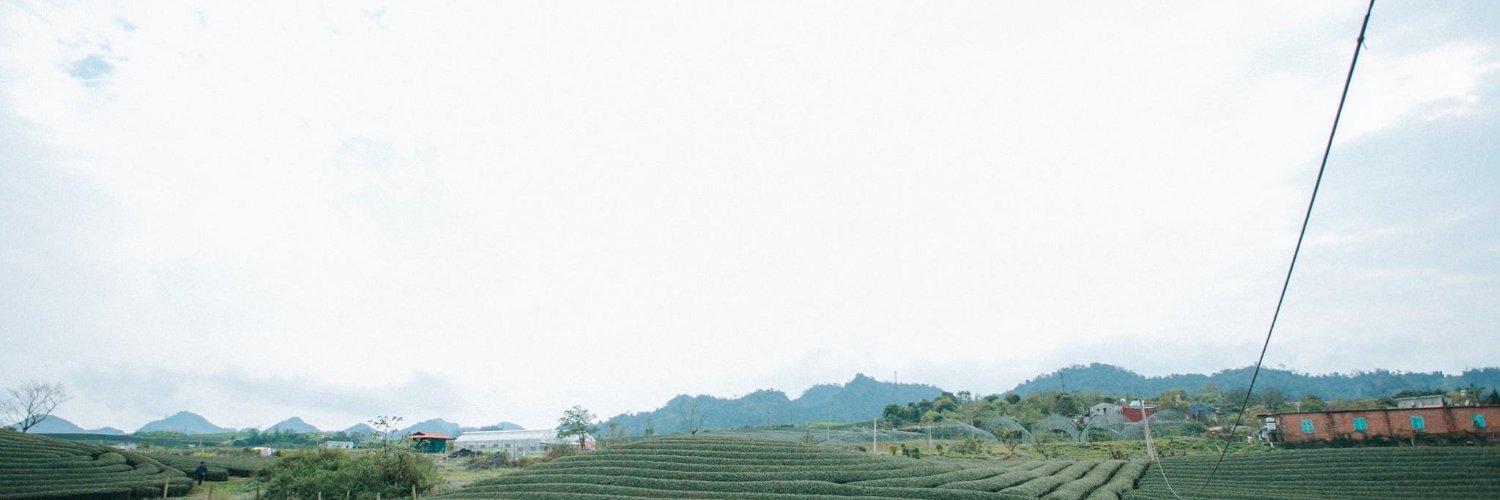 Estefania Parrales banner