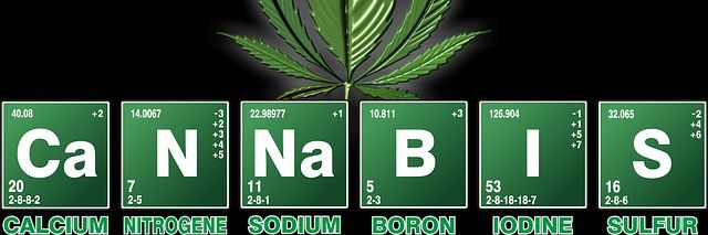 WeedpreneurLife's profile banner image