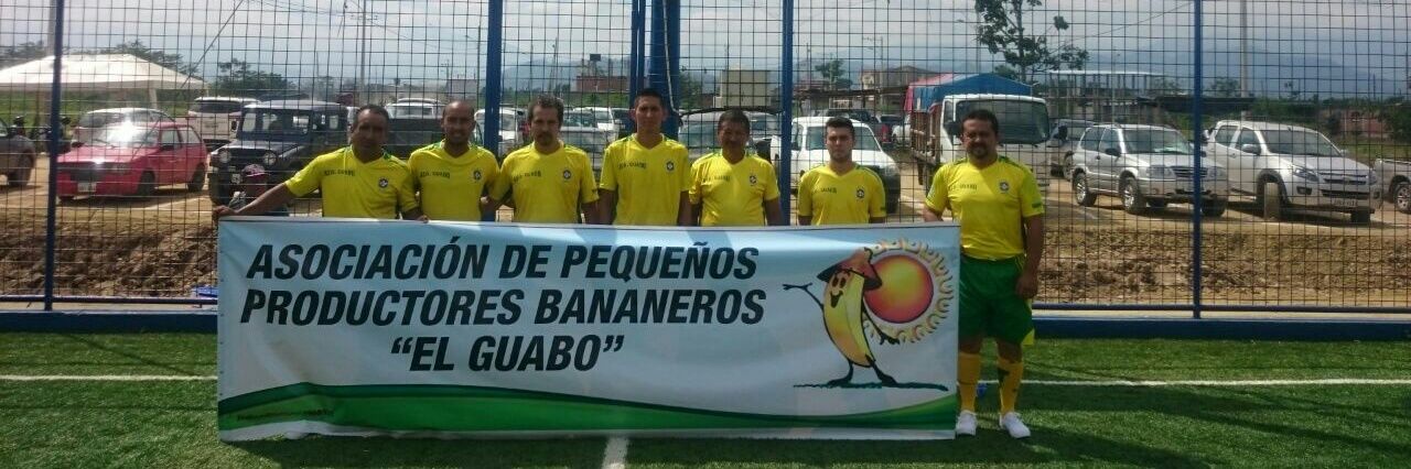 Asoguabo banner