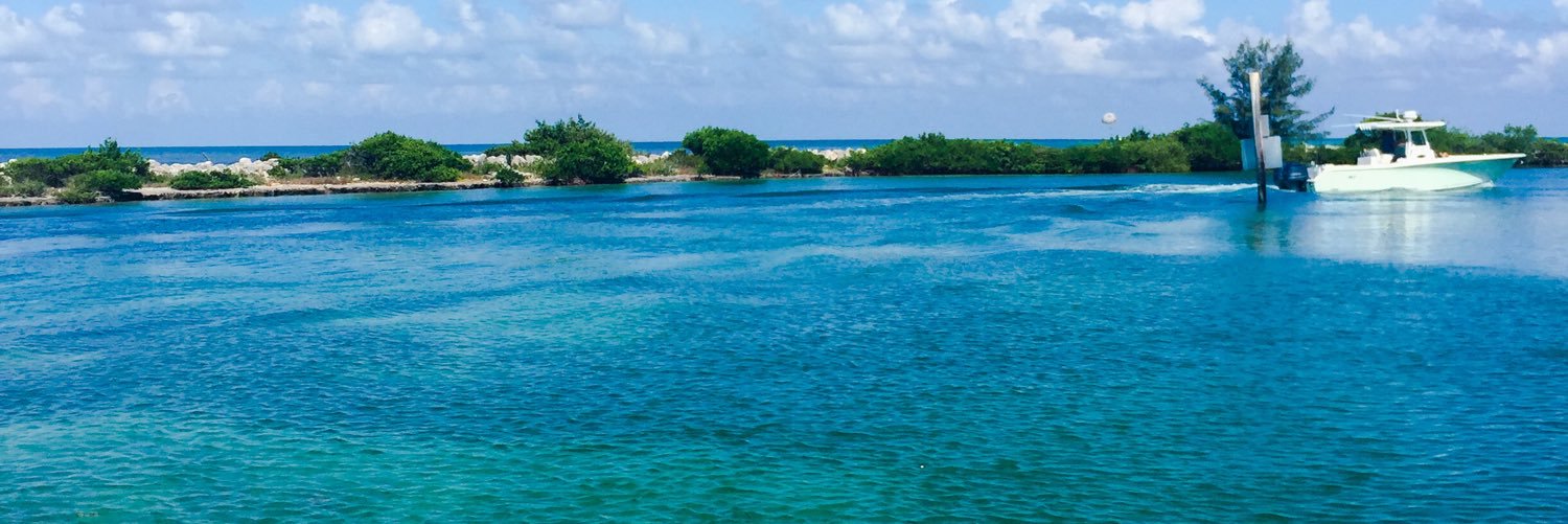 christina Elliott banner