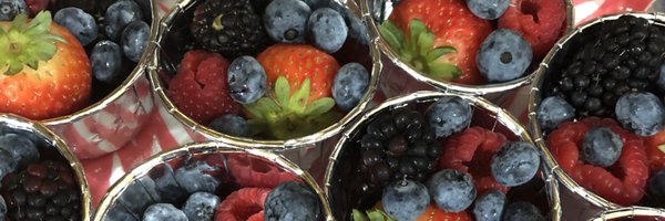 Schef24 Profile Banner