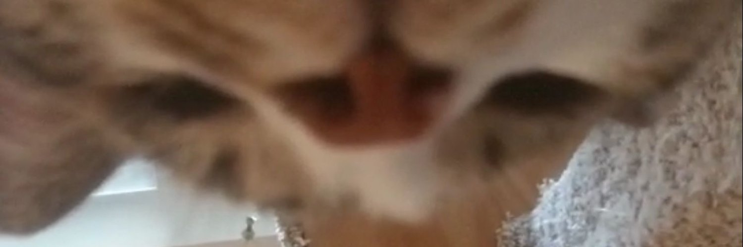 failfleet's profile banner image