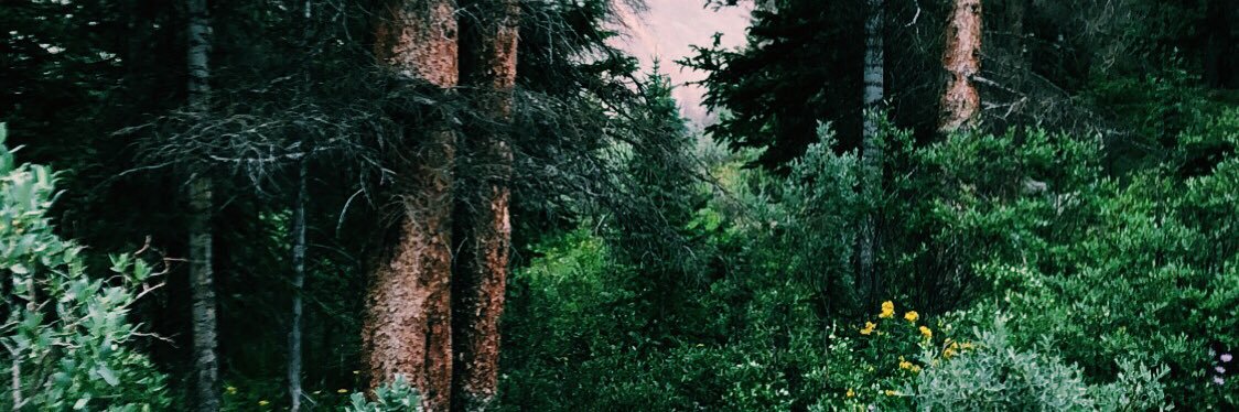brookhintze's profile banner image