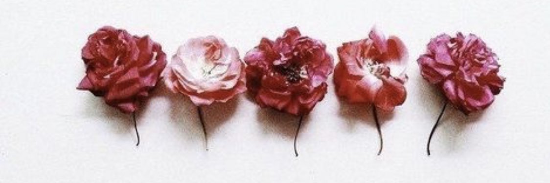 alanoud6166's profile banner image
