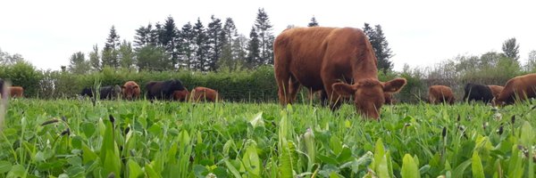 PrecisionGraze Profile Banner