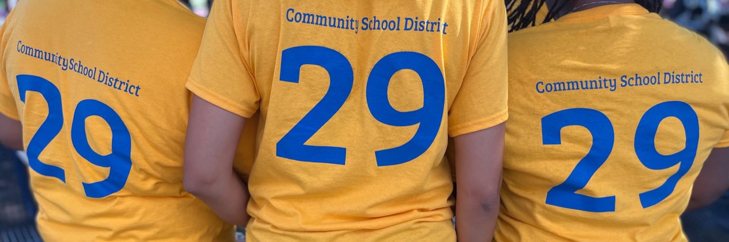 District 29 Queens banner