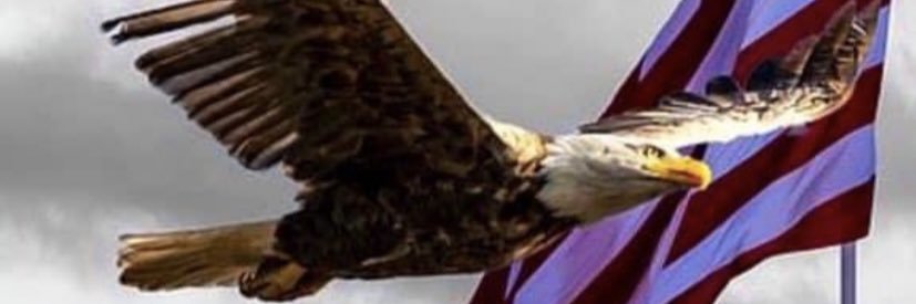 michdur04's profile banner image