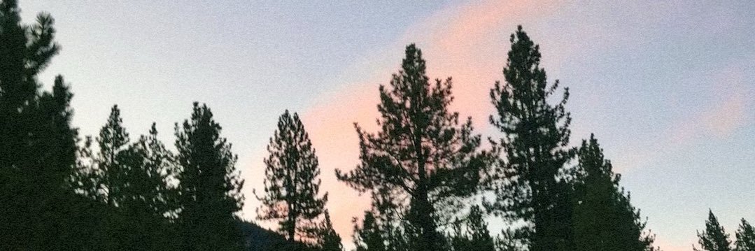 marrleymooo's profile banner image