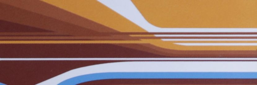 Raniery Oliveira's banner