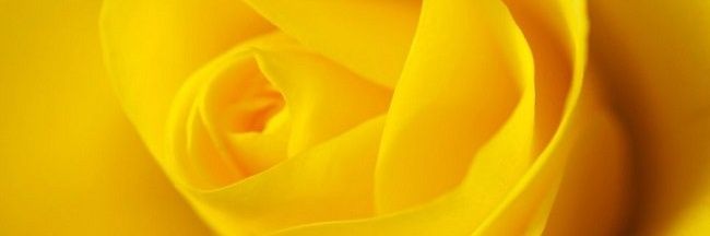Hoshamd's profile banner image