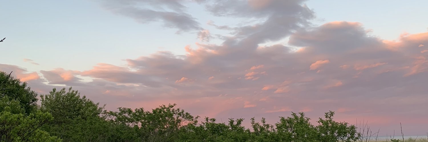 jennywebs's profile banner image
