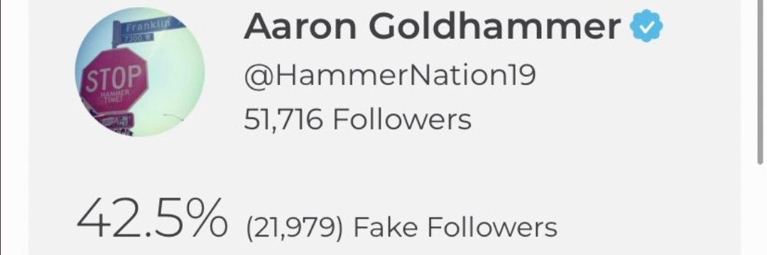 HAMMER💩RHOID banner