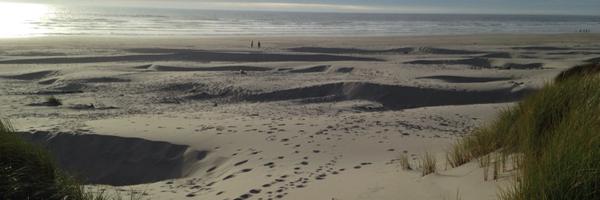 TouchDownBrinks Profile Banner