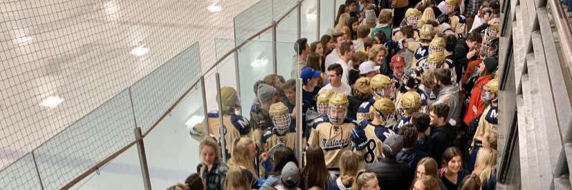 Stormin’ Stangs banner
