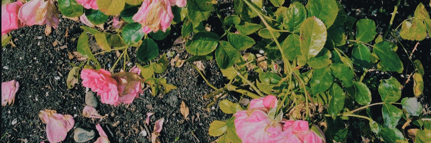 pikyum's profile banner image
