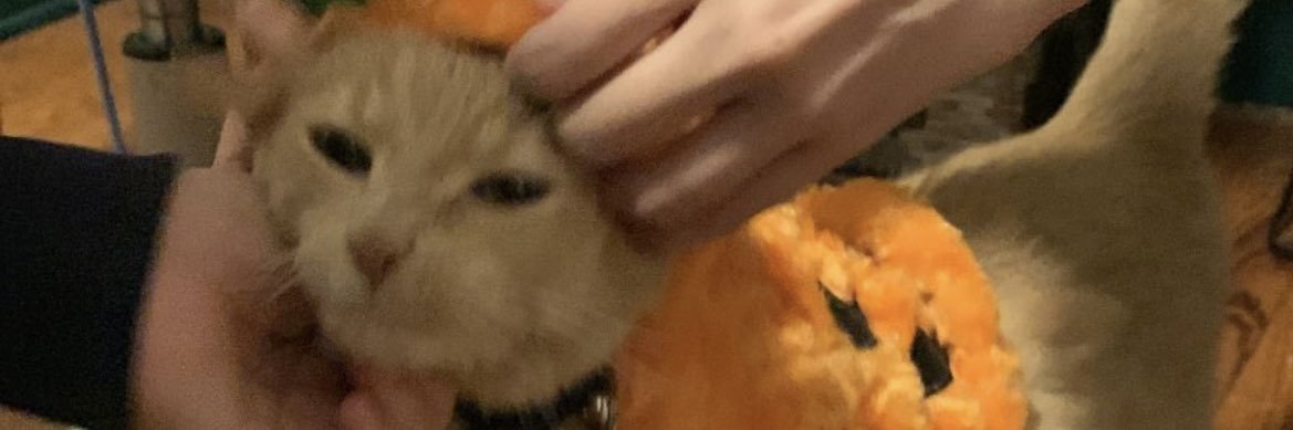 aiden 🌱 banner