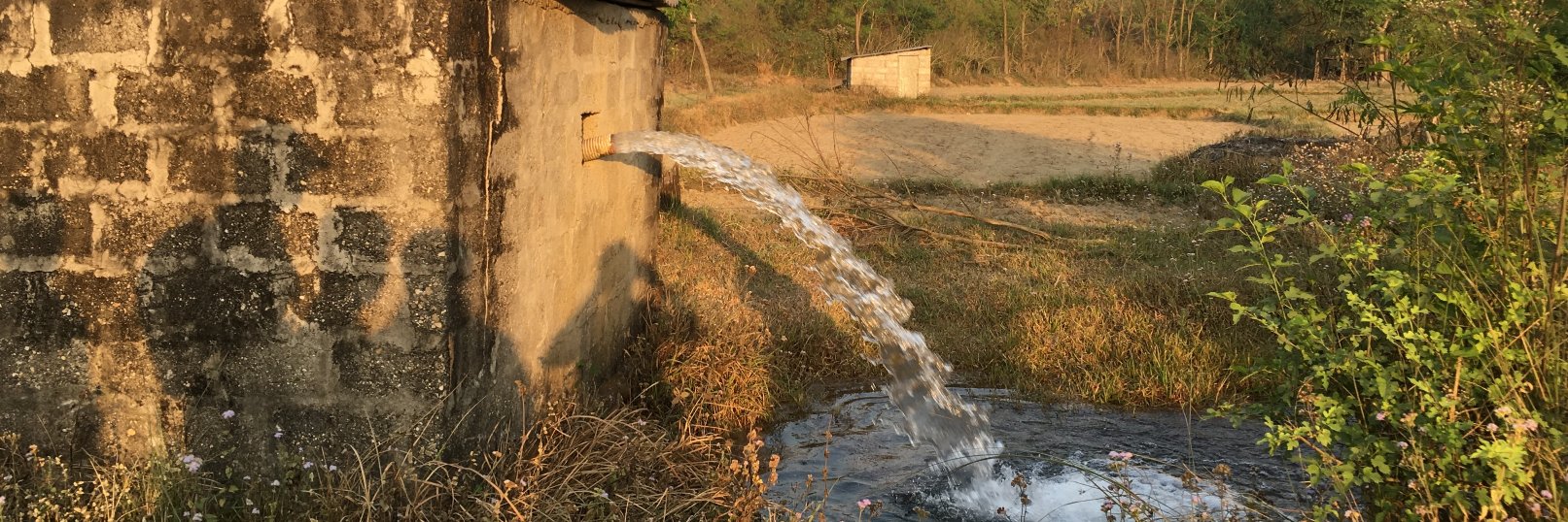 Fiona Johnson banner