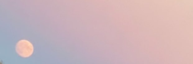 taaaylooorrr_'s profile banner image