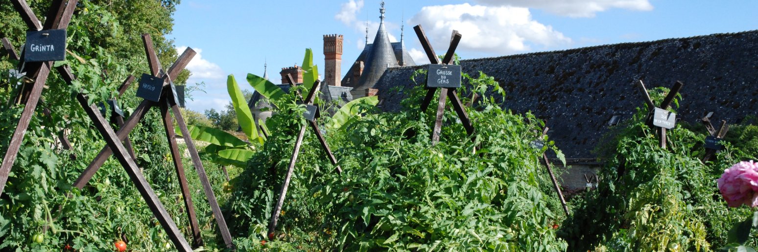 Olivier Lévêque banner